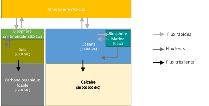 Schéma du cycle du carbone