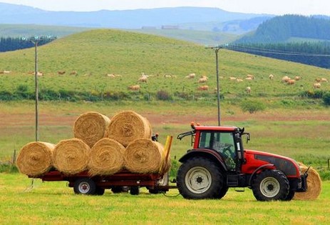 tracteur dans un champ